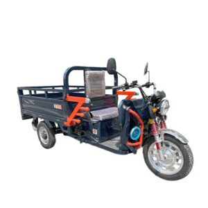 Triciclo Elettrico A1