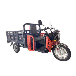 Triciclo Elettrico A3